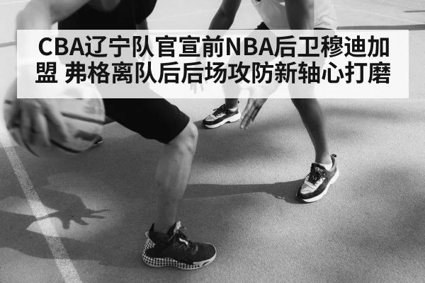 basketball defense training